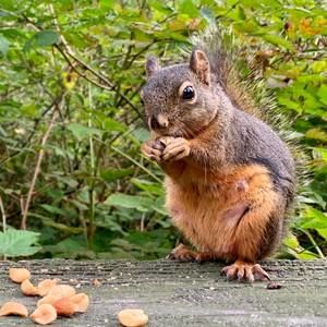 Meet your Posher, Miriam